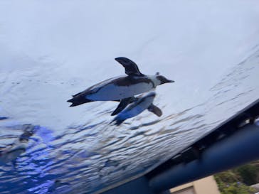 サンシャイン水族館に投稿された画像（2023/4/30）