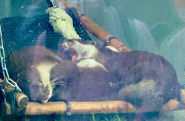 サンシャイン水族館に投稿された画像（2023/4/30）