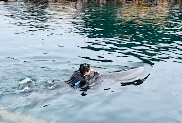 うみたま体験パーク 「つくみイルカ島」に投稿された画像（2023/4/30）