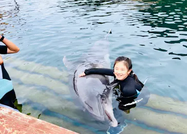 うみたま体験パーク 「つくみイルカ島」に投稿された画像（2023/4/30）