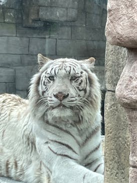 東武動物公園に投稿された画像（2023/4/30）