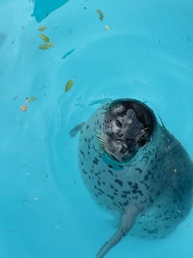 東武動物公園に投稿された画像（2023/4/30）