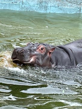 東武動物公園に投稿された画像（2023/4/30）