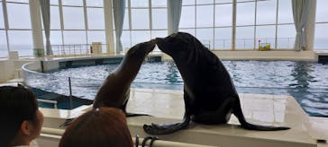 アクアワールド茨城県大洗水族館に投稿された画像（2023/4/30）