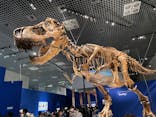 特別展「恐竜博2023」に投稿された画像（2023/4/30）