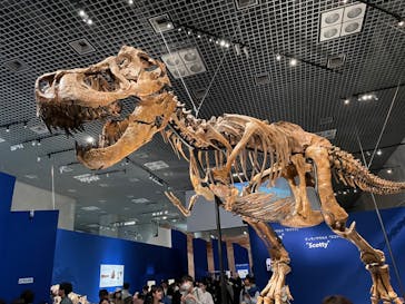 特別展「恐竜博2023」に投稿された画像（2023/4/30）