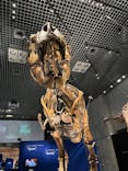 特別展「恐竜博2023」に投稿された画像（2023/4/30）