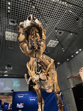 特別展「恐竜博2023」に投稿された画像（2023/4/30）