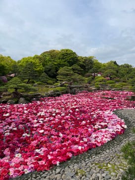 日本庭園　由志園に投稿された画像（2023/4/30）