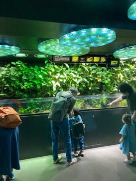 サンシャイン水族館に投稿された画像（2023/4/30）