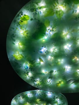 サンシャイン水族館に投稿された画像（2023/4/30）