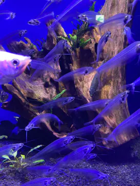 サンシャイン水族館に投稿された画像（2023/4/30）