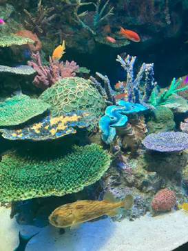 サンシャイン水族館に投稿された画像（2023/4/30）