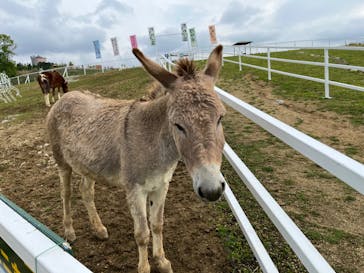 ワールド牧場に投稿された画像（2023/4/30）