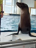 アクアワールド茨城県大洗水族館に投稿された画像（2023/4/30）