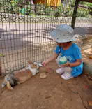 美らヤシパークオキナワ・東南植物楽園に投稿された画像（2023/4/30）