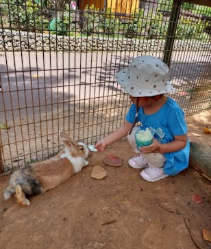 美らヤシパークオキナワ・東南植物楽園に投稿された画像（2023/4/30）