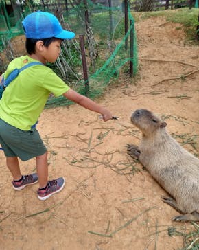 美らヤシパークオキナワ・東南植物楽園に投稿された画像（2023/4/30）
