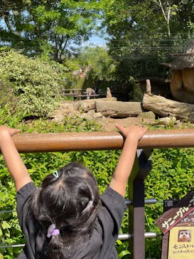 到津の森公園に投稿された画像（2023/4/30）