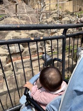 到津の森公園に投稿された画像（2023/4/30）