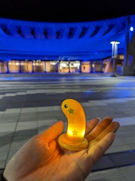 マリンワールド海の中道に投稿された画像（2023/4/30）