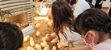 アニタッチみなとみらいに投稿された画像（2023/4/30）