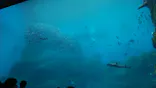 仙台うみの杜水族館に投稿された画像（2023/5/1）