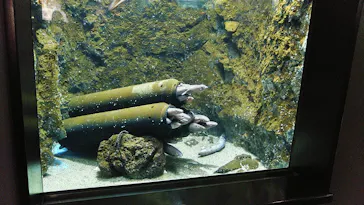仙台うみの杜水族館に投稿された画像（2023/4/30）