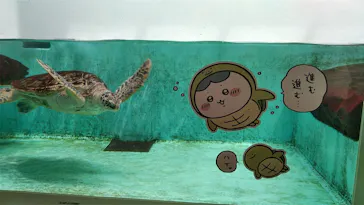 仙台うみの杜水族館に投稿された画像（2023/4/30）