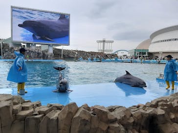 名古屋港水族館に投稿された画像（2023/4/30）