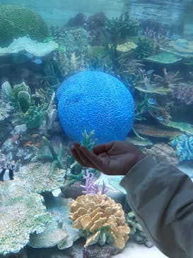 名古屋港水族館に投稿された画像（2023/4/30）