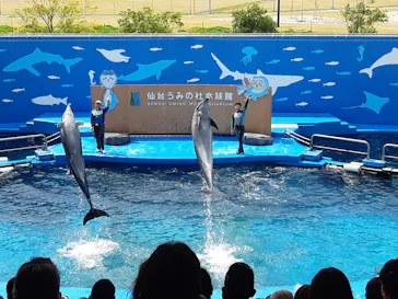 仙台うみの杜水族館に投稿された画像（2023/4/30）