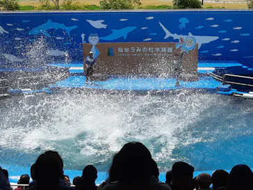 仙台うみの杜水族館に投稿された画像（2023/4/30）