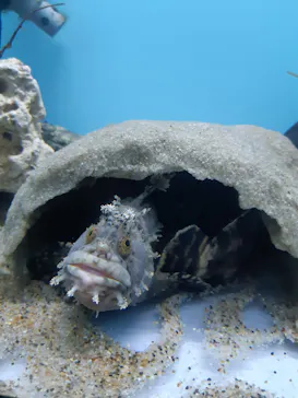 仙台うみの杜水族館に投稿された画像（2023/4/30）