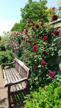 横浜イングリッシュガーデンに投稿された画像（2023/4/30）