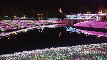 レオマリゾートに投稿された画像（2023/4/30）