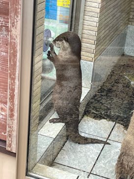 下田海中水族館に投稿された画像（2023/4/30）