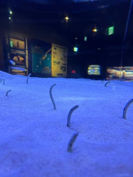 マリンワールド海の中道に投稿された画像（2023/4/30）