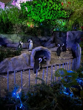 サンシャイン水族館に投稿された画像（2023/4/30）