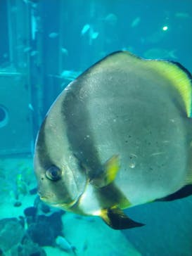 箱根園水族館に投稿された画像（2023/4/30）