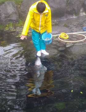 箱根園水族館に投稿された画像（2023/4/30）