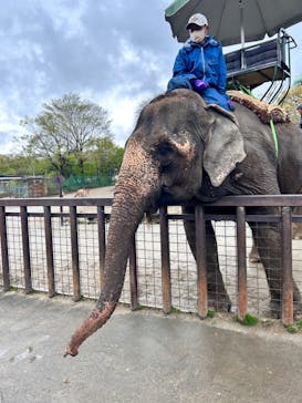 那須サファリパークに投稿された画像（2023/4/30）