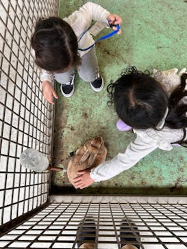 那須サファリパークに投稿された画像（2023/4/30）