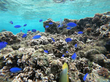 武藤潜水に投稿された画像（2023/5/1）