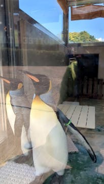 下田海中水族館に投稿された画像（2023/5/1）