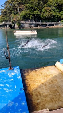 下田海中水族館に投稿された画像（2023/5/1）