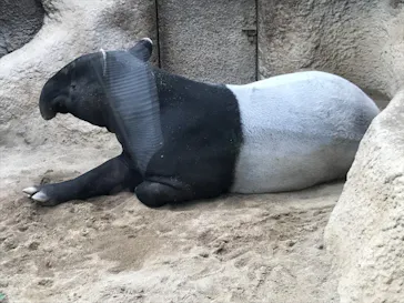 神戸どうぶつ王国に投稿された画像（2023/5/1）