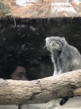 神戸どうぶつ王国に投稿された画像（2023/5/1）