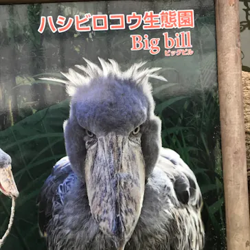 神戸どうぶつ王国に投稿された画像（2023/5/1）