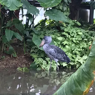 神戸どうぶつ王国に投稿された画像（2023/5/1）